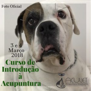 Curso de Introdução à Acupuntura