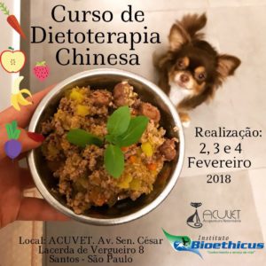 Curso de Dietoterapia Chinesa