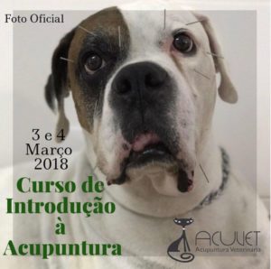 II Curso de Introdução à Acupuntura Veterinária